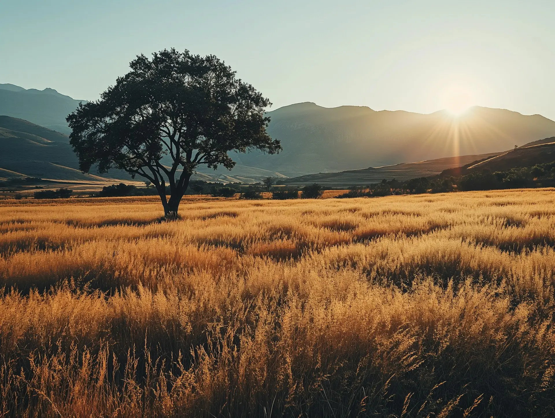 Cybersecurity for Websites in 2026: Why Security Directly Impacts SEO and Trust Introduction